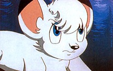 Cartoon Show 52