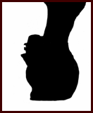 Silhouette 11