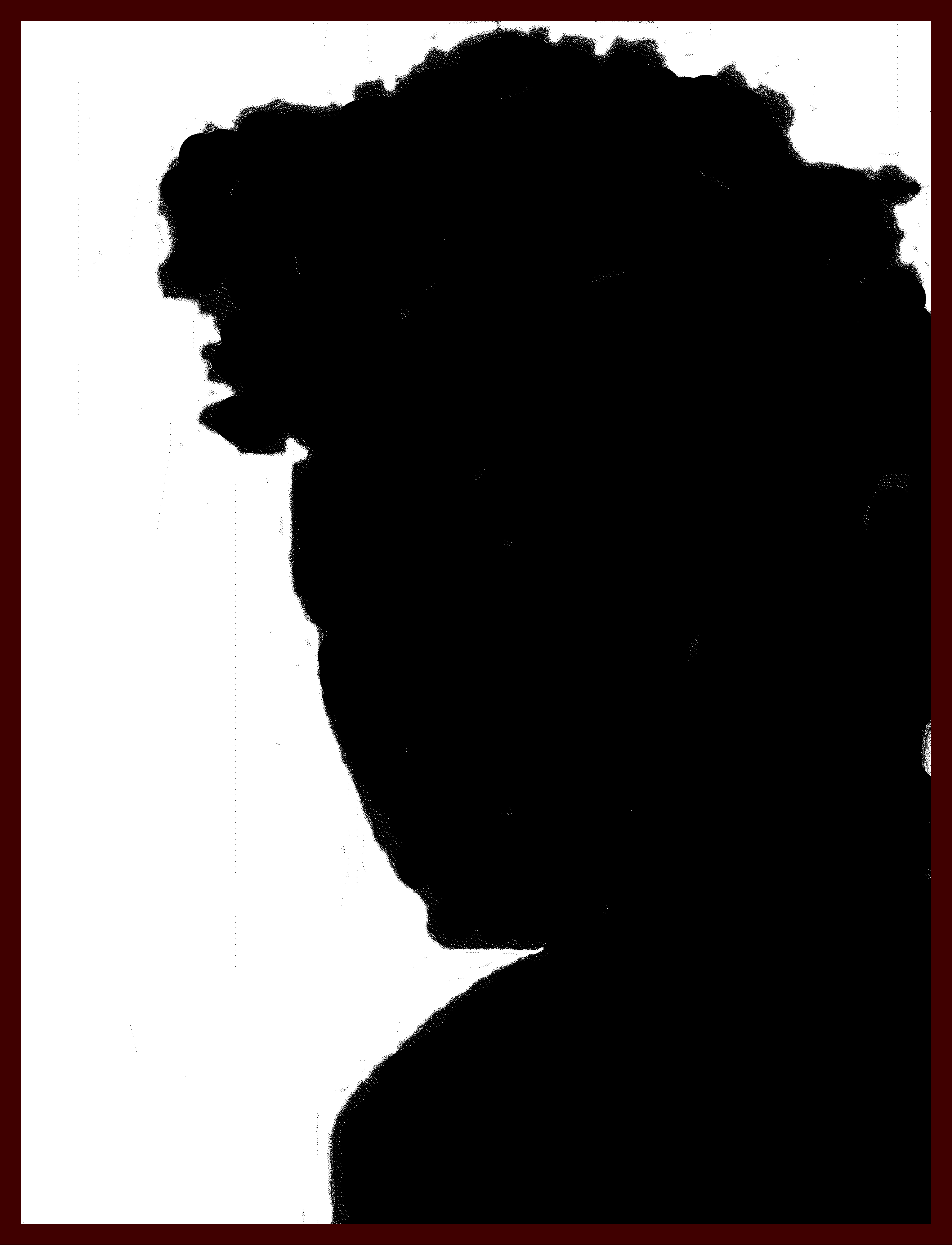 Silhouette 16