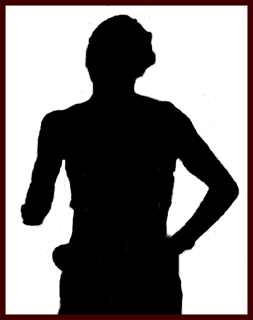 Silhouette 17