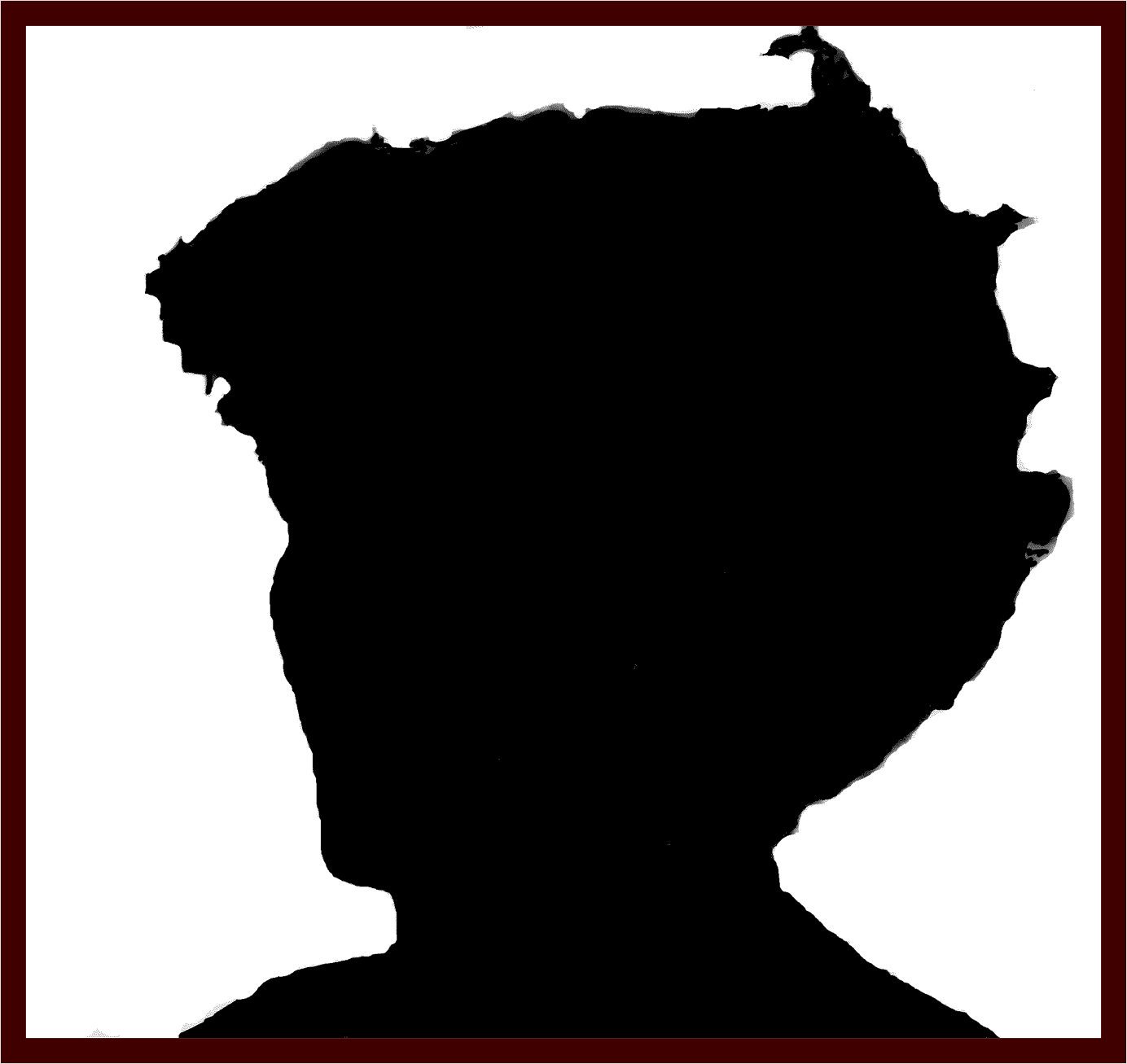 Silhouette 4
