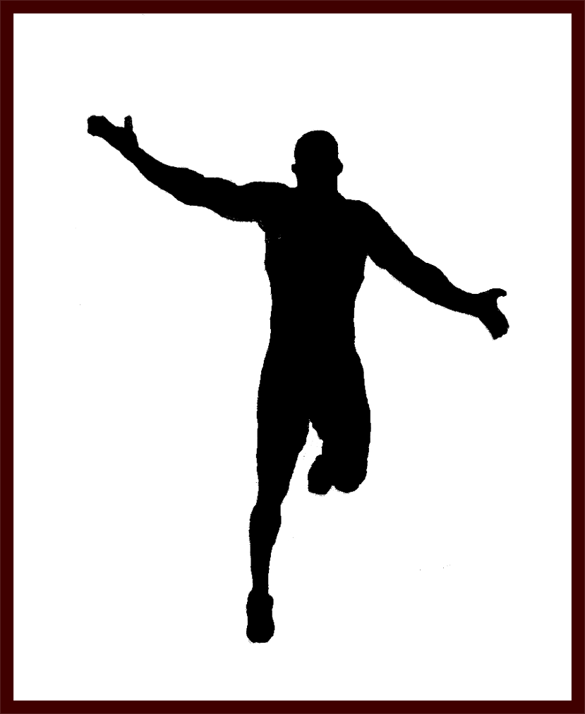 Silhouette 5