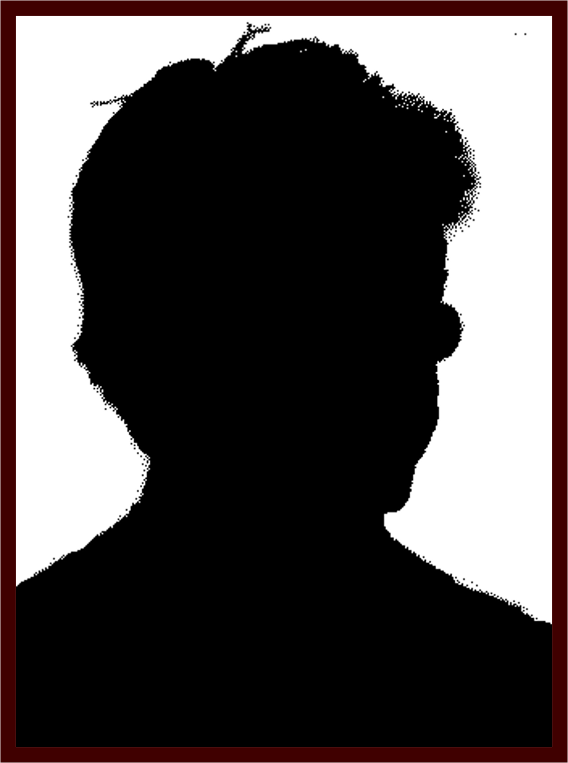 Silhouette 9